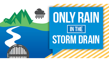 Graphic for the Only Rain in the Storm Drain campaign