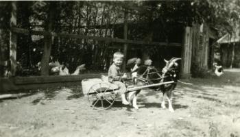 Red Deer Archives, P3284; Jimmy with Fanny the goat, 1926