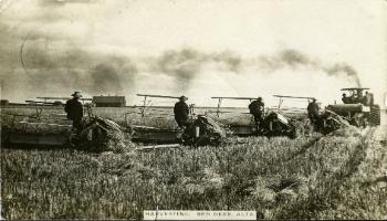 Red Deer Archives, DA270; Harvesting on Bower Farm, ca. 1912