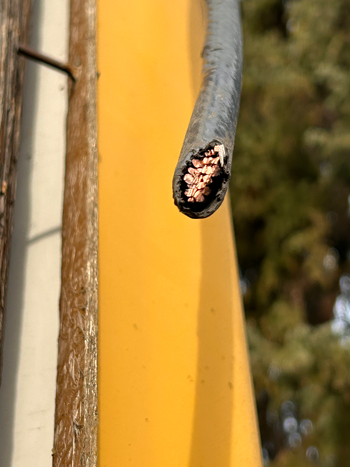 Photo of a cut wire
