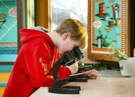 A fourth grade boy looks through a microscope at the Waste Management Facility's Interpretive Centre.