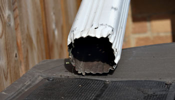 Photo of a down spout feeding into the top of a rain barrel