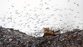 tractor moving waste in landfill