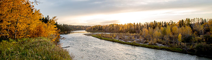 Fall - Red Deer River - 700 x 200 px