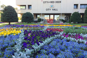 Photo of flower beds with City Hall in the background