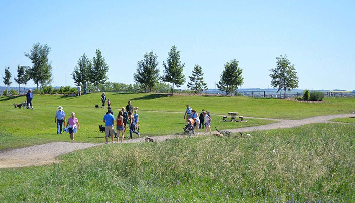 People walking their dogs at Oxbows Off Leash Dog Park